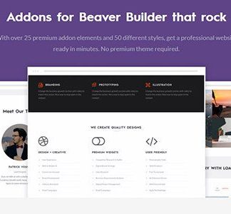 Beaver Builder Addons – Pro Version By Livemesh Themes