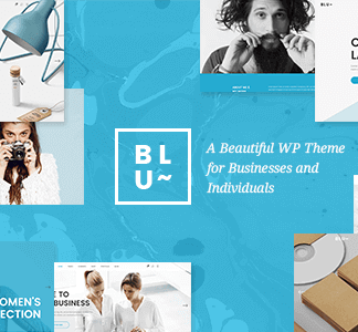 Blu – A Beautiful Theme For Businesses And Individuals