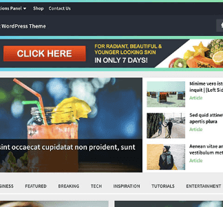 Bridge – Multipurpose Wordpress Theme