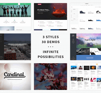 Cardinal – Wordpress Theme