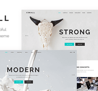 Conall – A Clean & Beautiful Multipurpose Theme