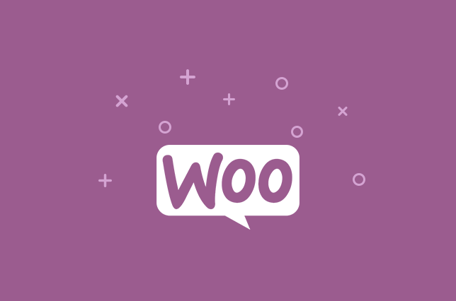 WP ERP - Woocommerce Integration