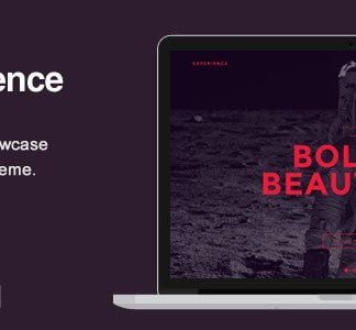 Experience – Showcase Wordpress Theme