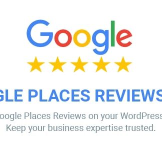 Google Places Reviews Pro