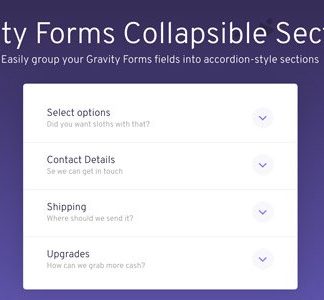 Gravity Forms Collapsible Sections