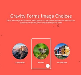 Gravity Forms Image Choices