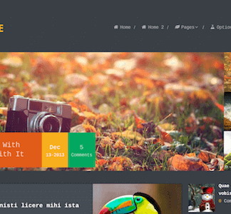 Monospace – Unique Blog Wordpress Theme