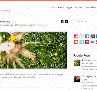 Pureview – Lightweight, Flexible & Powerful Wordpress Theme