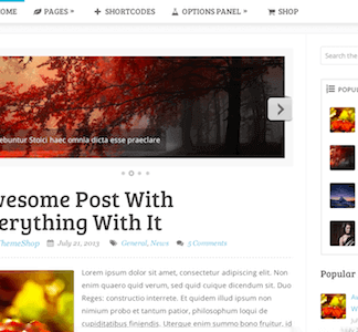 Sensational – Fully Responsive & Seo Optimized Magazine Wp Theme