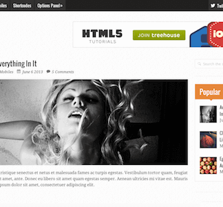 Wildfire – Clean Responsive Wordpress Theme