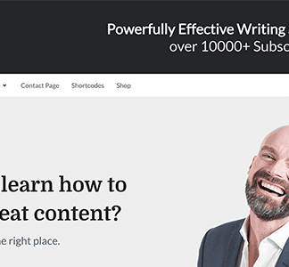 Writer – Professional Wordpress Theme For Writers