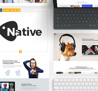 Native – Powerful Startup Development Tool