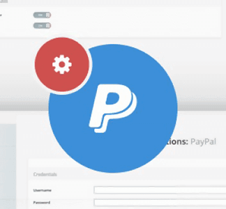 Ait Paypal Payments – Payment Gateway Plugin