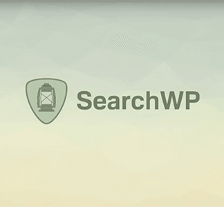 SearchWP – Exclude UI