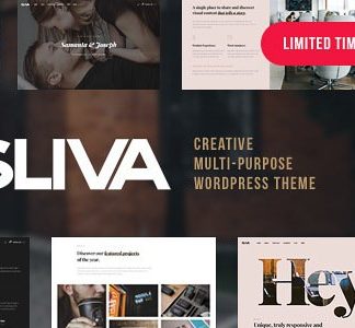 Sliva - Responsive Multi-Purpose Theme