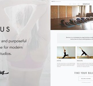 Somnus - Yoga & Fitness Studio WordPress Theme