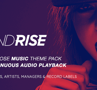 Soundrise – Artists, Producers And Record Labels Wordpress Theme