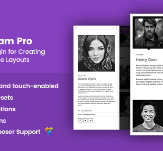 The Team Pro – Team Showcase Wordpress Plugin