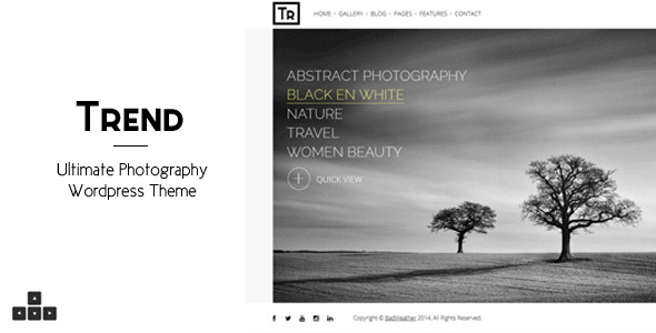 Trend – Photography Wordpress Theme