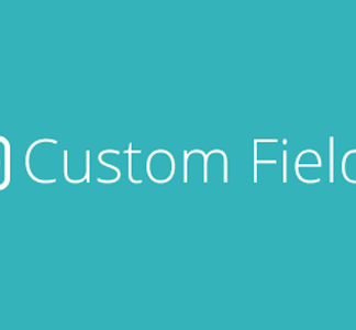 Upstream Custom Fields Extension