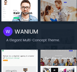 Wanium – A Elegant Multi-Concept Theme