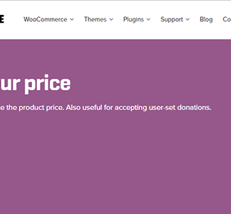 Woocommerce Name Your Price