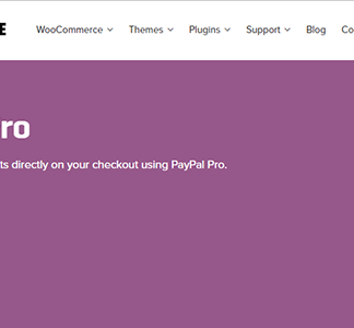 Woocommerce Paypal Pro Gateway