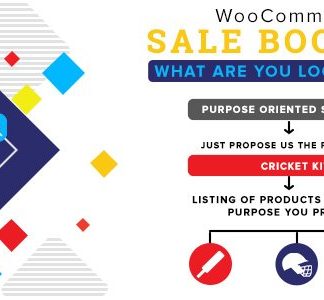 Woocommerce Sale Booster - What are you looking for