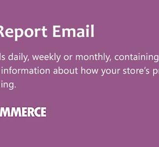 WooCommerce Sales Report Email