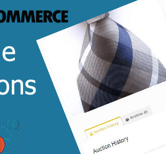 Woocommerce Simple Auctions