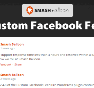 Simple Custom CSS and JS PRO