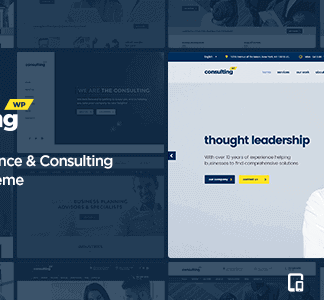 Consulting