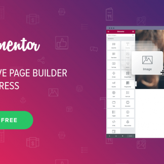 Elementor Website Builder (Free version)