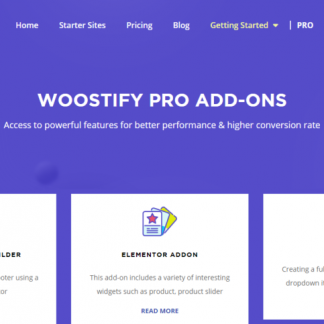 Woostify Pro