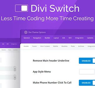 Divi Switch
