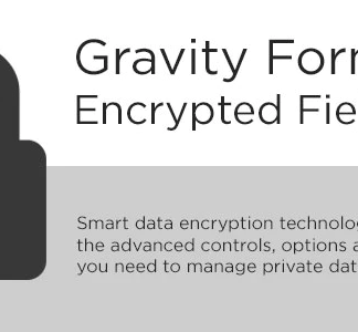 Gravity Forms Encrypted Fields