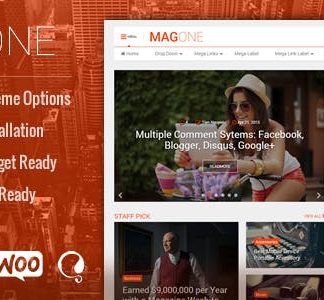 MagOne
