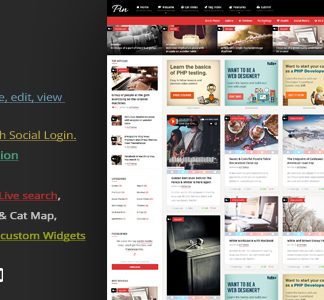 Pin WP
