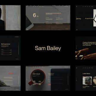 Sam Bailey