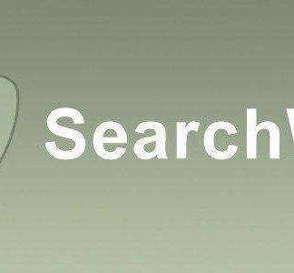 SearchWP DirectoryPress Integration