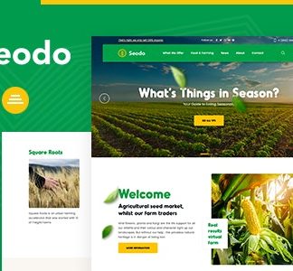 Seodo