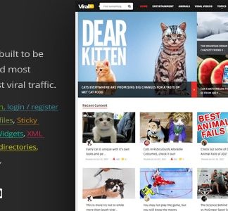 ViralVideo WP