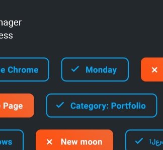 Widget Manager