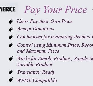WooCommerce Pay Your Price