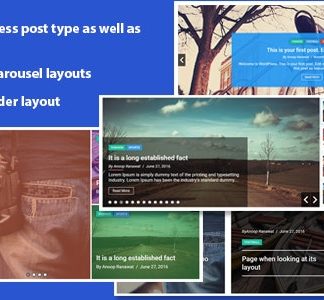 WP Responsive Recent Post Slider Pro