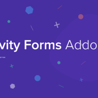 Newsletter - Gravity Forms Addon