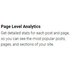 MonsterInsights - Page Insights Addon