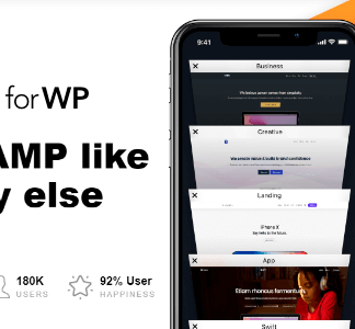 Recipe Compatibility for AMP