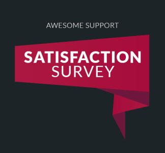 Awesome Support: Satisfaction Survey