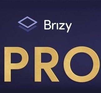 Brizy